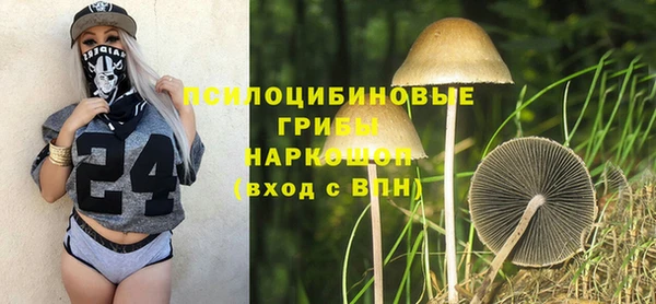 гидра Верхнеуральск