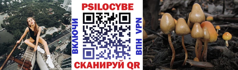 Галлюциногенные грибы Cubensis  где купить наркоту  Гай 